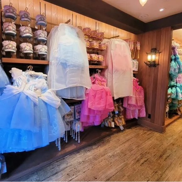 Disney Elsa Frozen Dress & Pants, Size 4, Twins (2 avlbl) - Picture 7 of 8